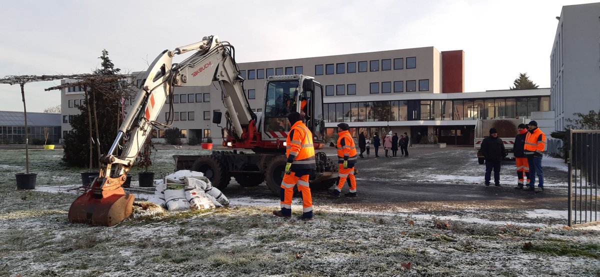 HamidKylian's tweet photo. Poursuite du projet de végétalisation de la cour de récréation du collège : plantation de 10 arbres avec l’aide du CD57 et les élèves du club jardinage 👩🌾
#ecoecole #e3d #clubjardinage #CD57 #environnement #bienêtre #cadreapaisant https://t.co/YDQ7xVQ3O9