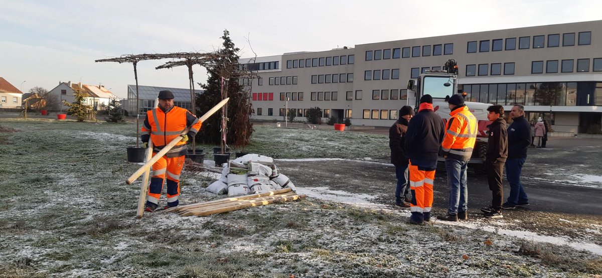 HamidKylian's tweet photo. Poursuite du projet de végétalisation de la cour de récréation du collège : plantation de 10 arbres avec l’aide du CD57 et les élèves du club jardinage 👩🌾
#ecoecole #e3d #clubjardinage #CD57 #environnement #bienêtre #cadreapaisant https://t.co/YDQ7xVQ3O9