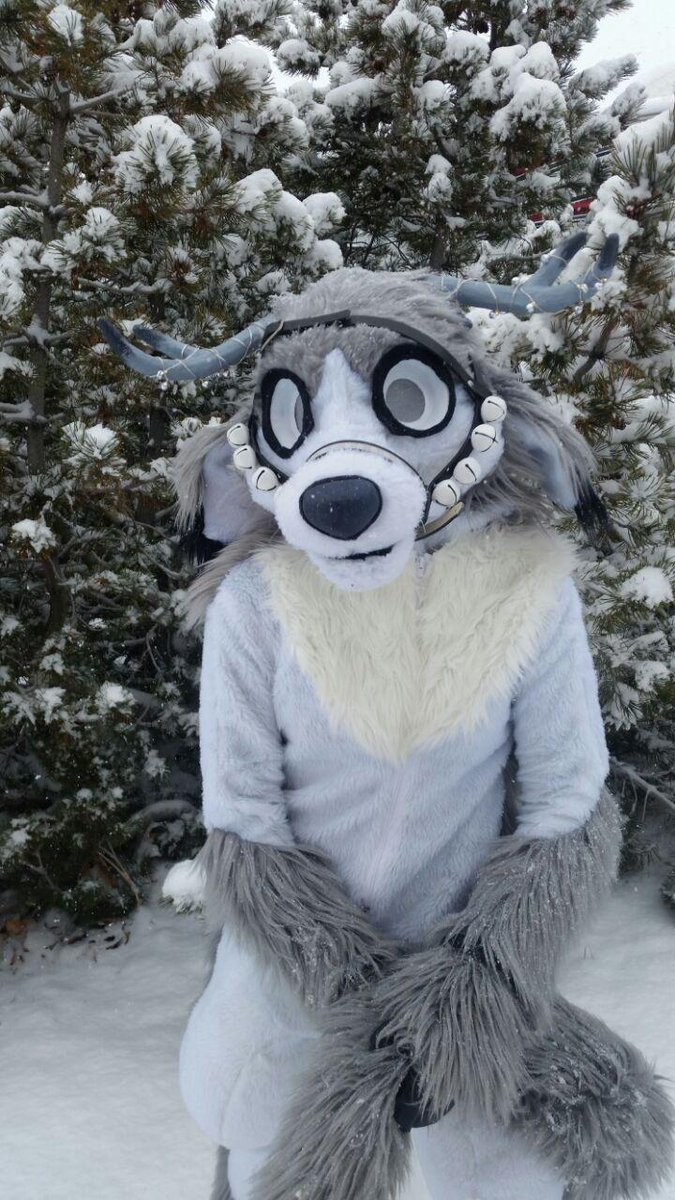DizzyPenguinFur's tweet photo. Happy #FursuitFriday !!!
want a brand new custom head, partial, or fullsuit? I'm 0pen for one slot!
artistic liberty projects get a sweet discount
head 1⃣5⃣0⃣0⃣
full partial 2⃣5⃣0⃣0⃣
planti 3⃣0⃣0⃣0⃣
digi 3⃣5⃣0⃣0⃣ https://t.co/dALBkk6YDb