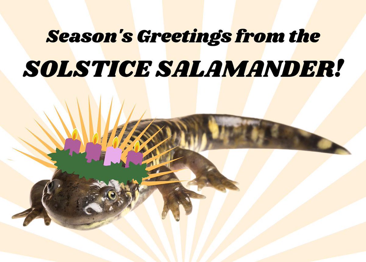 Emma 🎭🌂 ️🇺🇦 on Twitter "RT USFWS Your timeline has been visited by