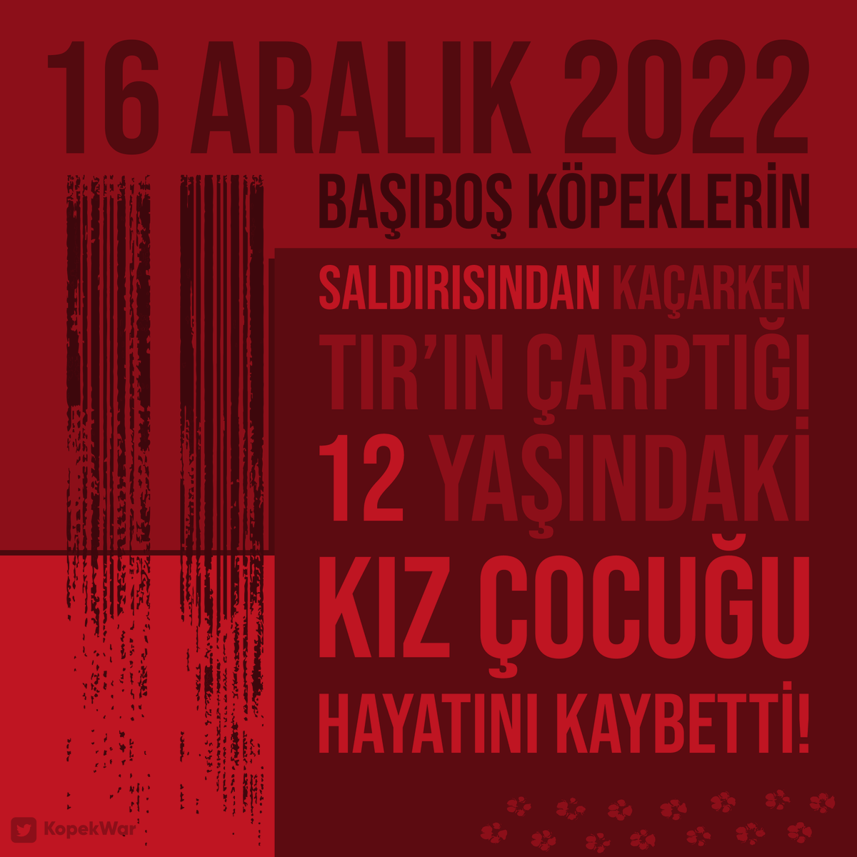 KopekWar's tweet photo. Başıboş köpeklerin saldırısından kaçarken TIR'ın çarptığı 12 yaşındaki Şilan hayatını kaybetti!
#TalimatıUygulayın, Başıboş #KöpekleriToplayın https://t.co/hf1NYwbo9L