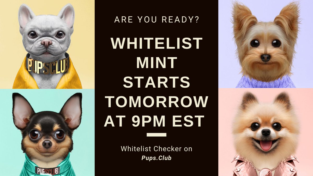 pupsclub's tweet photo. 🐶 We MINT tomorrow, Saturday December 17th at 9 pm EST!
🎟 Whitelists will mint first!
👨🏻‍💻 You can check if your wallet has been registered here: https://t.co/EhaTK8cZmd 
🏆 DM us if you have any issues!
🎥 Check out our Video 👇 https://t.co/8GCtZZOYJJ https://t.co/8oZ6PR9x8D