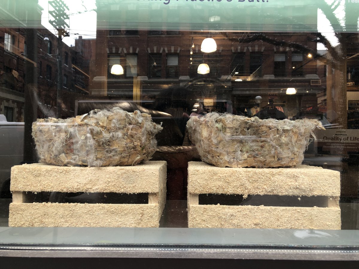 Have you heard? Our #KickingPlasticsButt window display is <a href="/patagonia/">Patagonia</a> on #KingWest in #Toronto (through January)! Featuring #CigaretteButt sculpture by resident artist Emily, illustration by vols <a href="/AliceXiaZhu/">Dr. Alice (Xia) Zhu</a>, Chelsea &amp; Mira, w/ video from @thewaterbros uofttrashteam.ca/cigarettebutts/