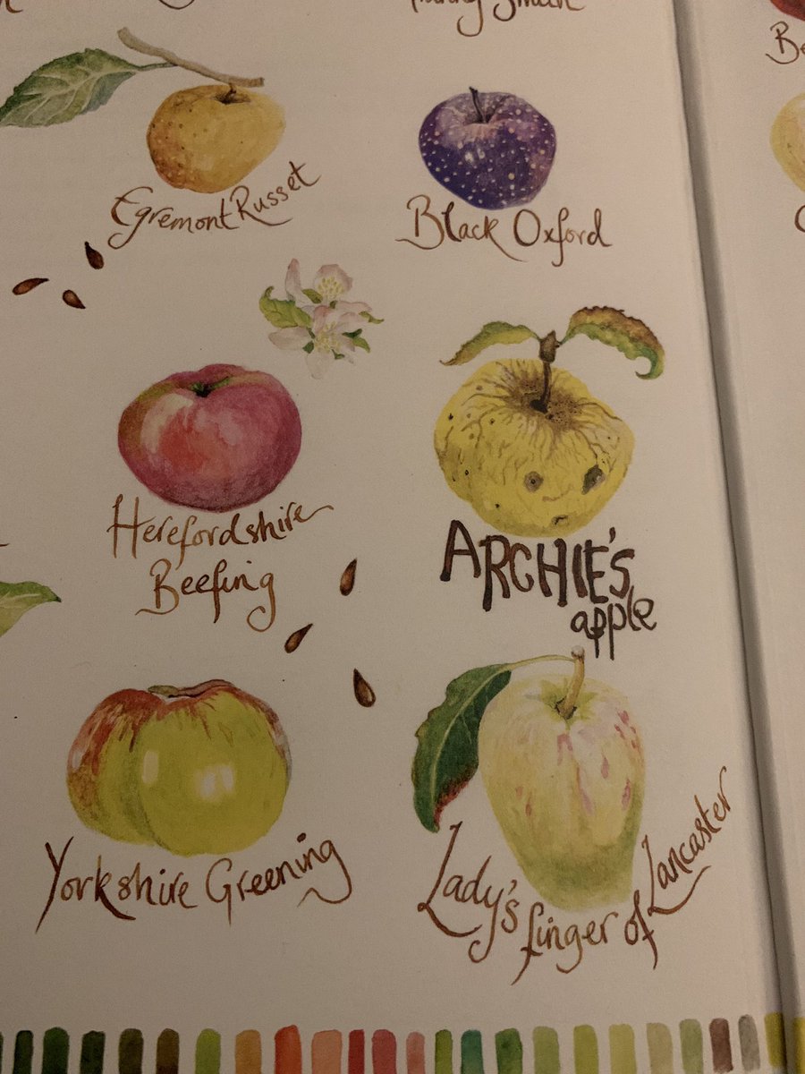 Archie’s Apple by <a href="/han_shuckburgh/">Hannah Shuckburgh</a> is an absolutely fabulous book and the illustrations are simply beautiful. It landed on my doormat yesterday and I can’t put it down. Thank you for such a masterpiece Hannah Shuckburgh and Octavia MacKenzie 🍎🌳