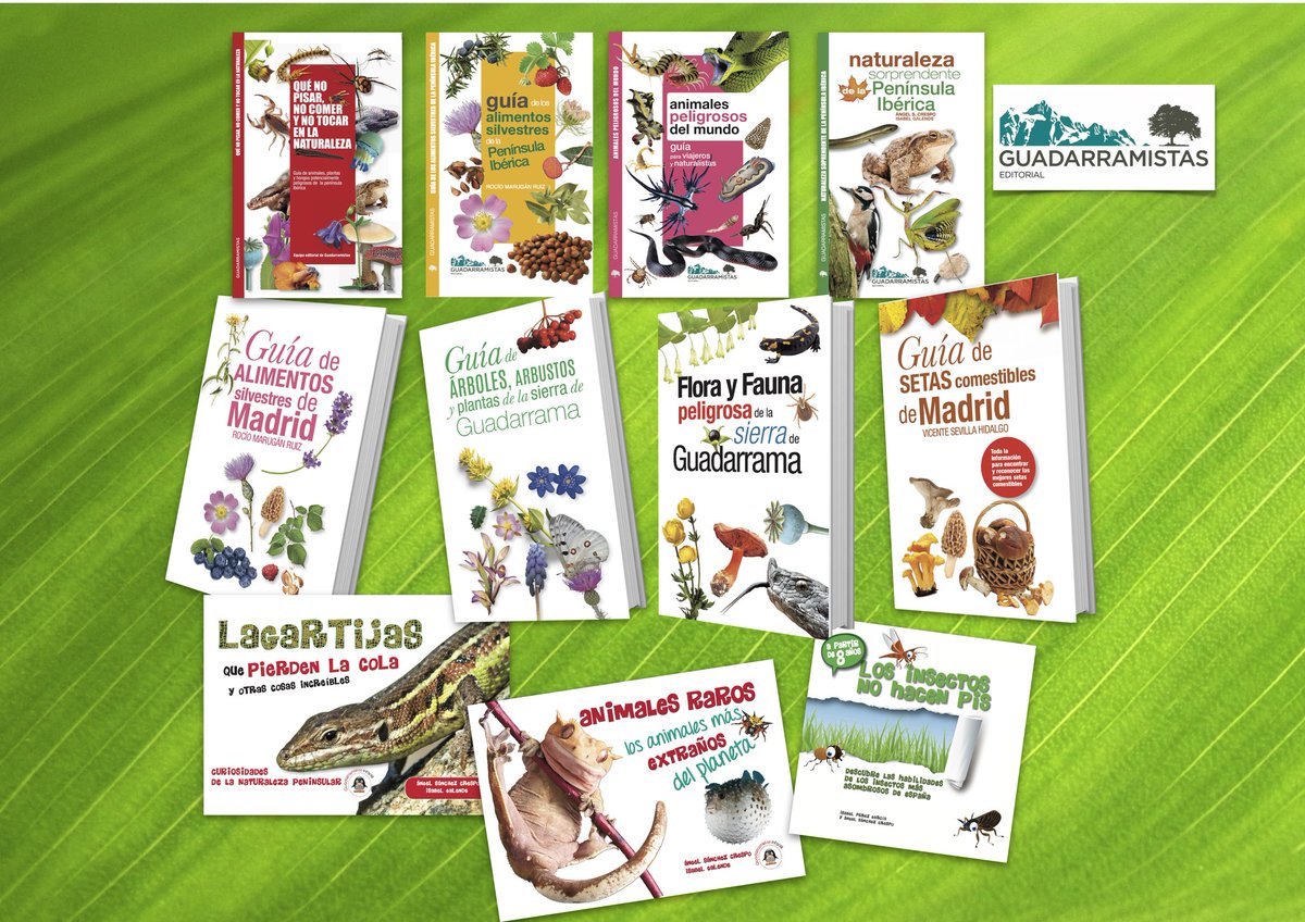 Nada más apasionante que conocer la naturaleza cercana #naturaleza #montaña #senderismo #senderismomadrid #naturalezamadrid #madridmontaña #Guadarrama #montañaguadarrama #naturalezaguadarrama #floramadrileña #floraguadarrama #arboles #plantas #botanica #sierradeguadarrama