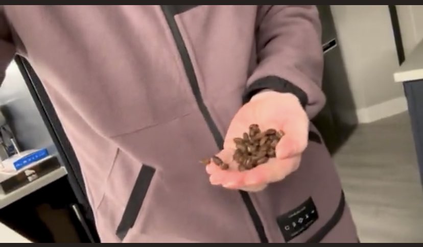 Only hot people keep TOTM beans in their pockets