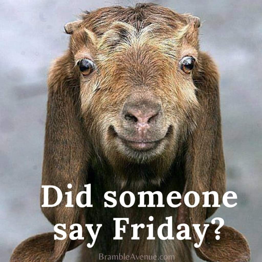 Refuse2FailArmy's tweet image. Fun Times Friday!! What's on your schedule this holiday weekend!? 

#RefuseToFail