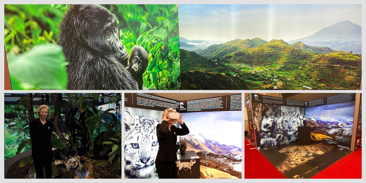 If you are here at #COP15 please check out <a href="/UNEP/">UN Environment Programme</a>'s brilliant #VanishingTreasures exhibit. A reminder of the critical need to protect &amp; conserve the planet's iconic species. Vital to build resilience of species, habitats &amp; local communities. #ForNature