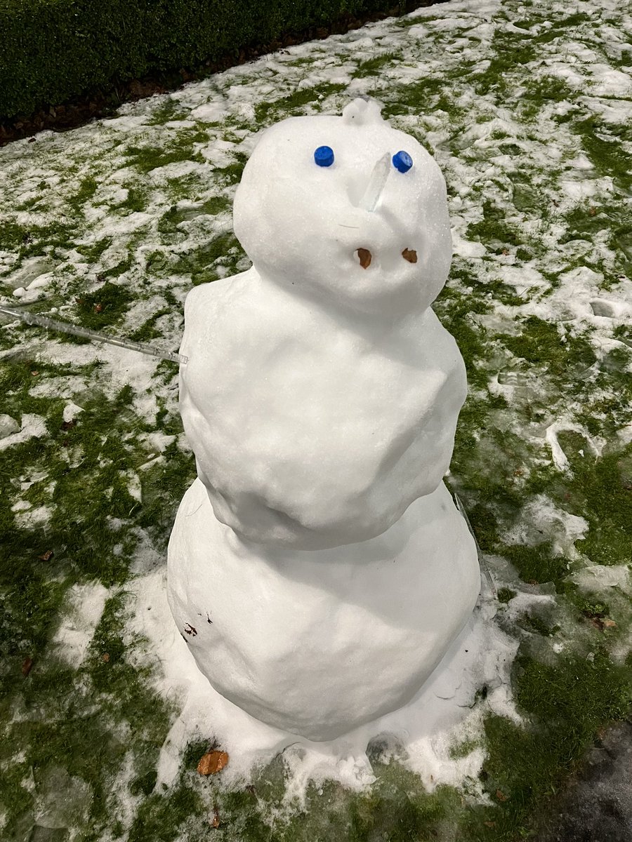 Nooshin Sheidaei tweet media