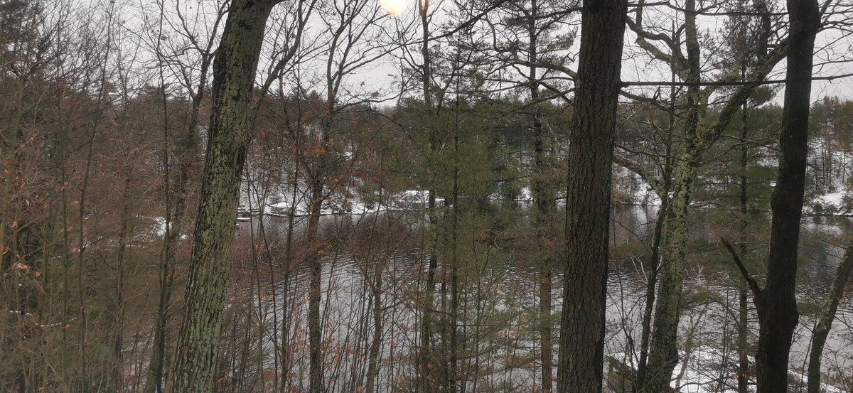 Mark_Goldberg's tweet photo. Sometimes, the view from my window looks like it is straight from a Hallmark Christmas special (and they filmed one nearby recently). I never take it for granted.

Have a peaceful weekend 
שבת שלום לכולם! https://t.co/zpkZANMlTZ
