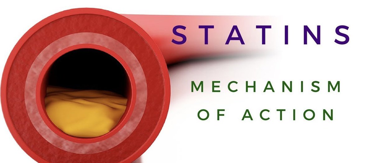السلام عليكم👋 موضوعنا اليوم مُبسط عن أدوية Dyslipidemia (cholesterol)💊