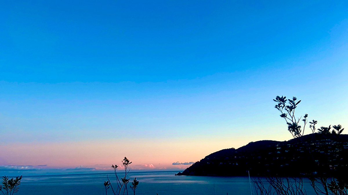 Caro Clem 🪸🌊⛵️ tweet media