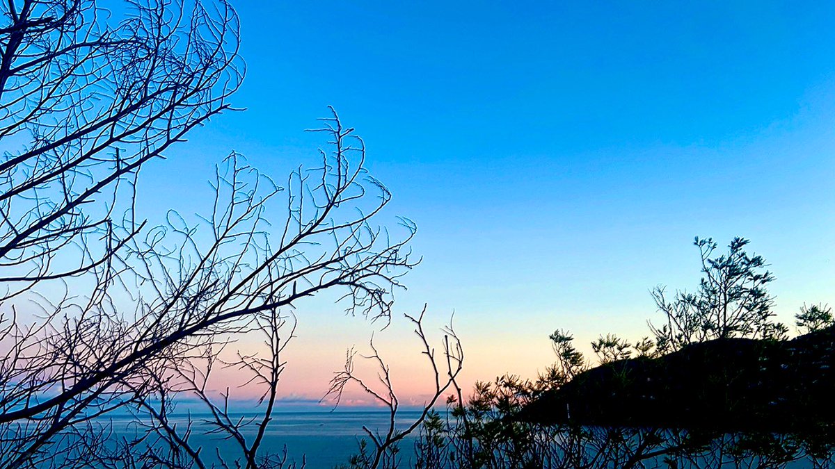 Caro Clem 🪸🌊⛵️ tweet media