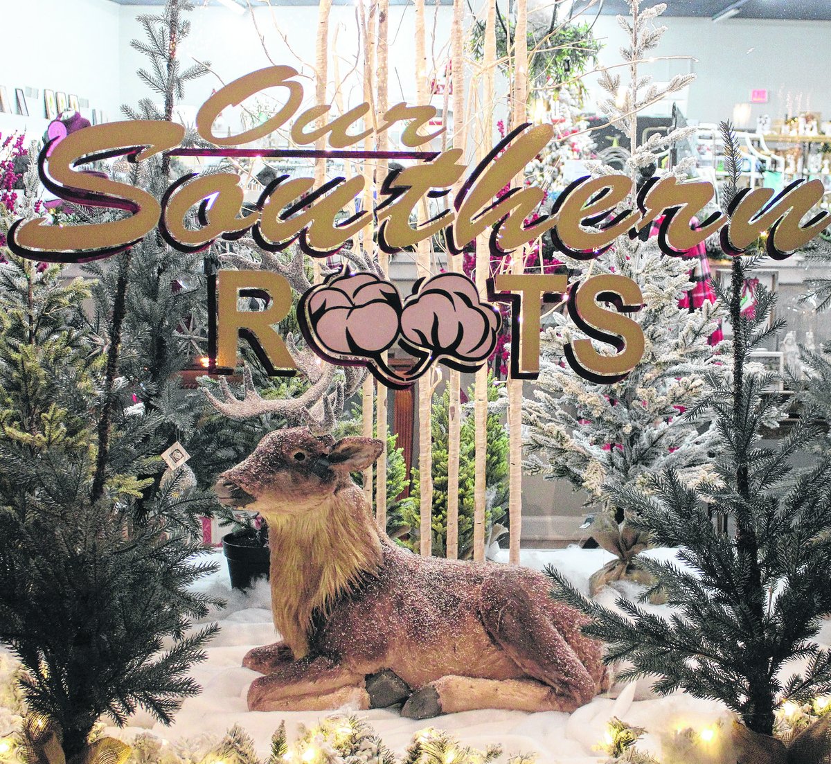 Christmas magic was in the air at Downtown Rockingham's Christmas Festival on Thursday!