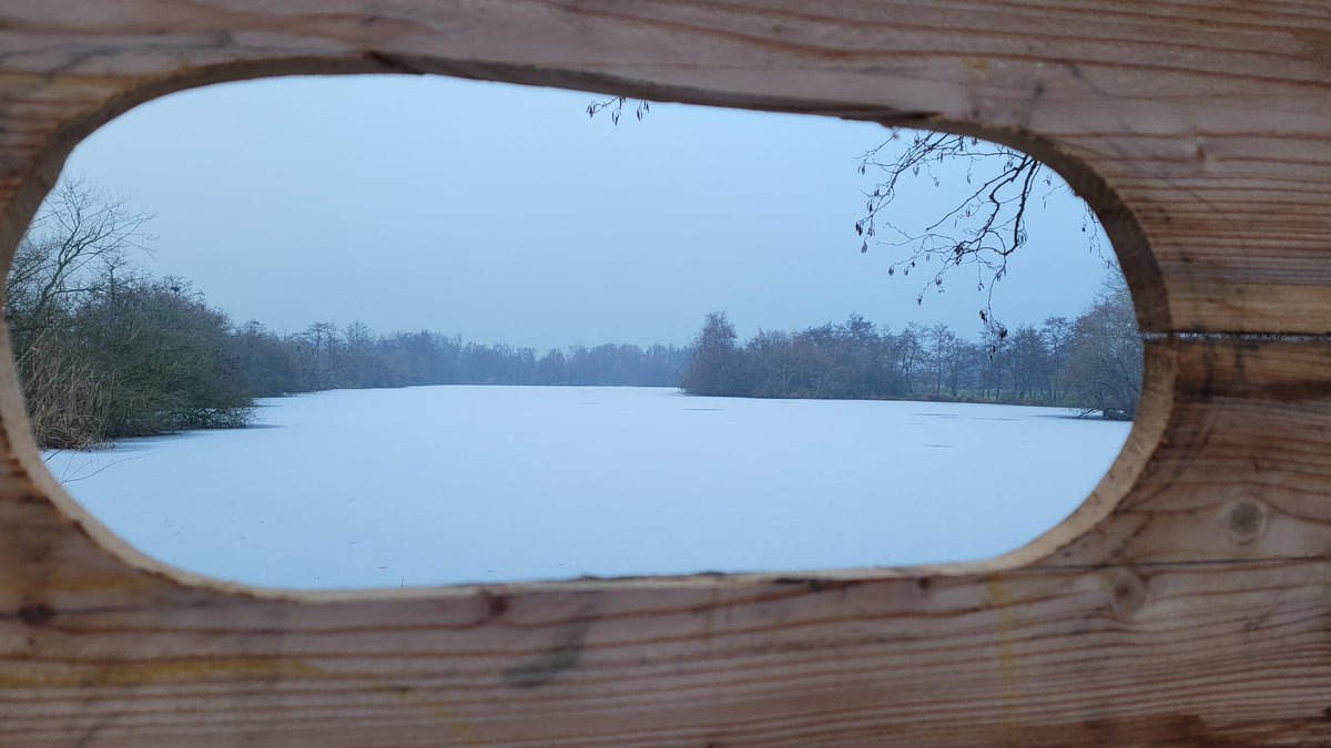 AvifaunaGrunn's tweet photo. Wat een aangename verrassing: @GR_Landschap heeft een kijkwand gerealiseerd bij één van de petgaten aan de Osdijk bij het Zuidlaardermeer. Veel vogelaars zullen hier dankbaar gebruik van gaan maken @HGL_JanBeekman! https://t.co/yRQpDa8ck4