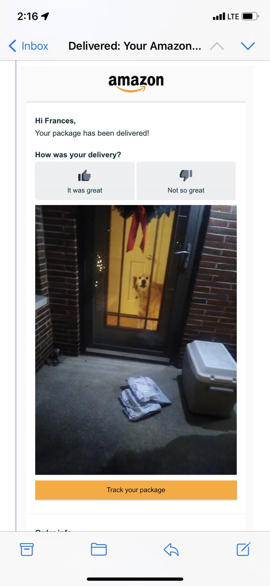 kendrashortlegz's tweet photo. Some ppl leave out snacks for their delivery drivers, some have an anxiety ridden golden retriever meet them at the door. My family is the latter https://t.co/XY9TP2txe9