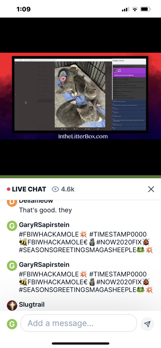 #TIMESTAMP0000🐝#FBIWHACKAMOLE€🗿#NOW2020FIX🐞#SEASONSGREETINGSMAGASHEEPLE🐸💥