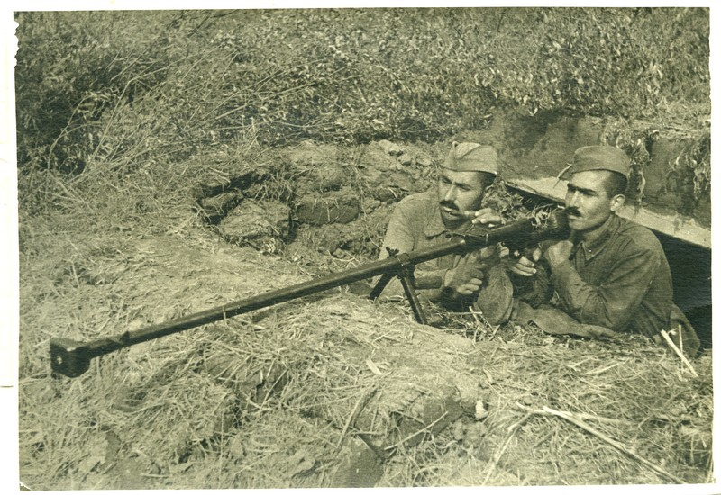 Tank Archives tweet media