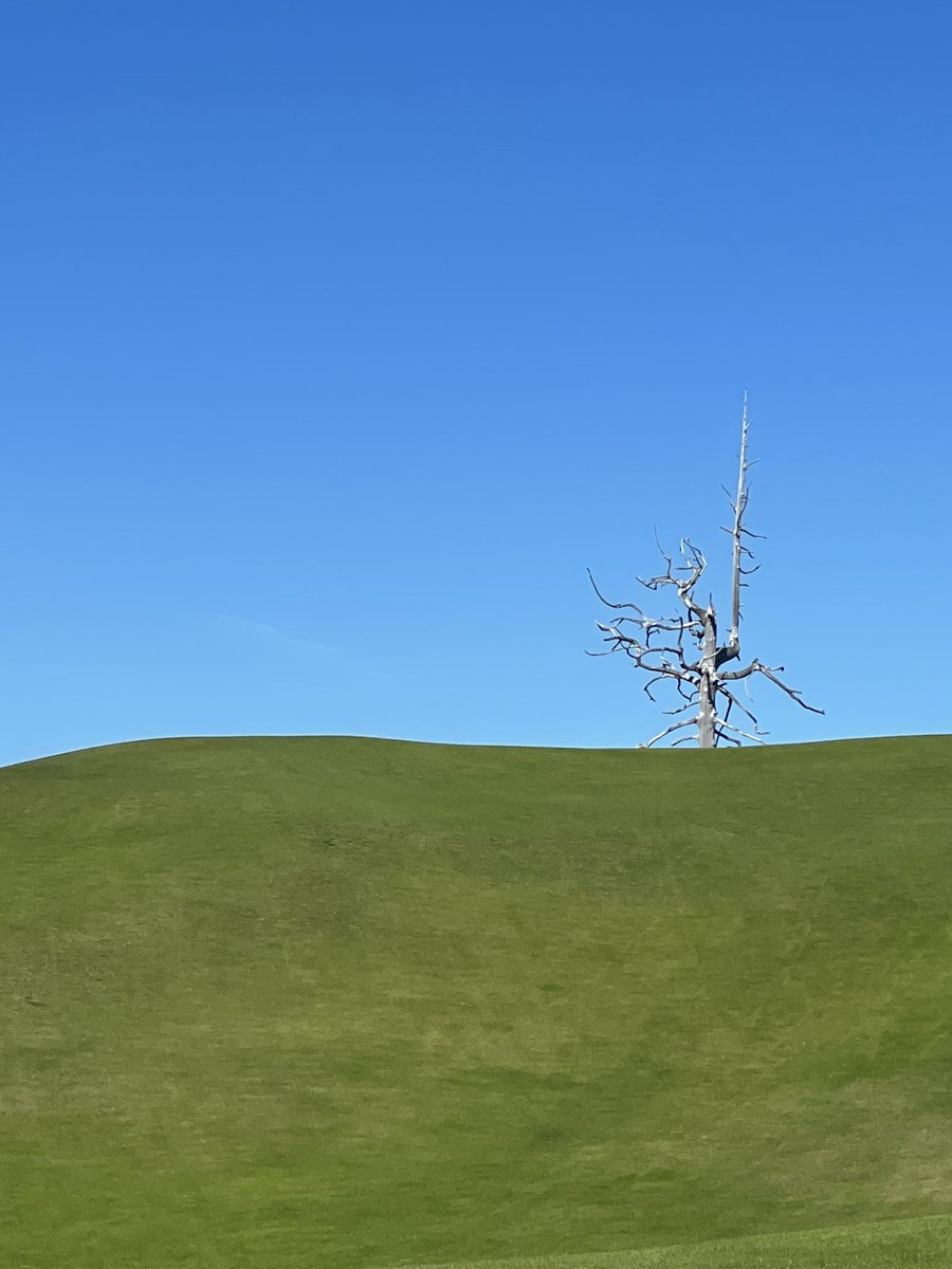 Mark Hand tweet media