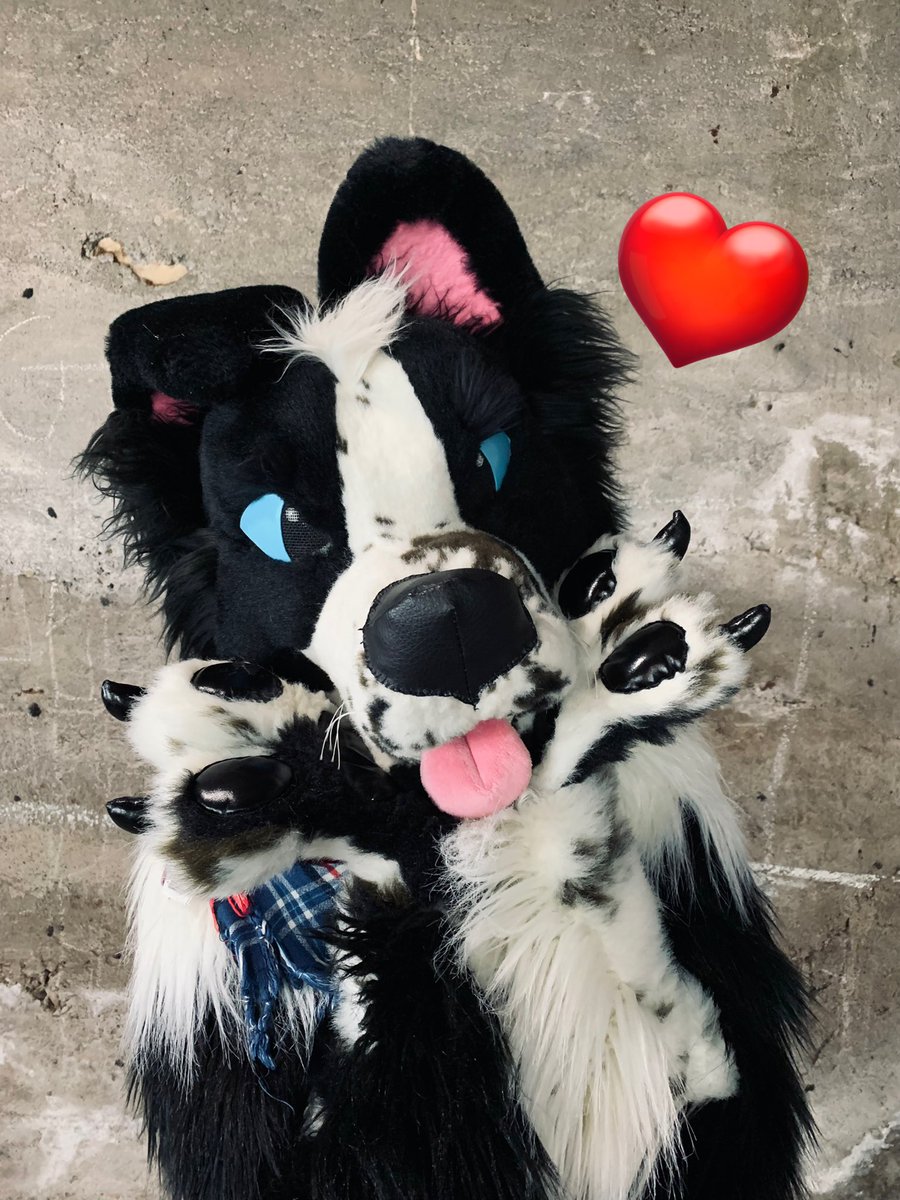 Jack Collie tweet media