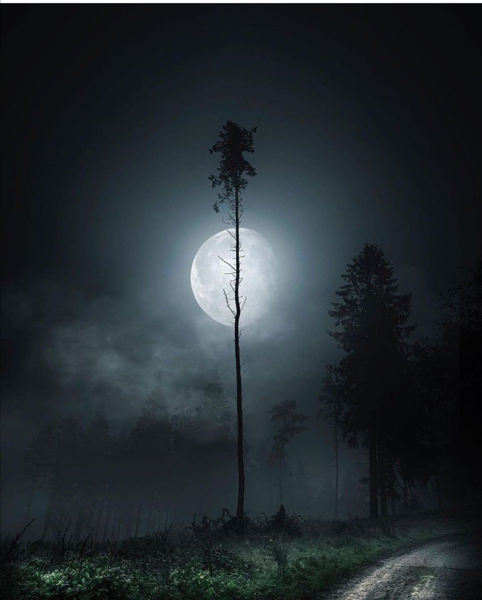 AarzuAarzish's tweet photo. There is a difficulty in love that you cannot easily free yourself from the charm of the one you fall in love with because this "freedom" hurts the heart
#WritingCommunity #WordPress #writerslift #Poetry #poetrycommunity #APoemADay #PoetsTwitter #Writerstuff #lovequotes #poem https://t.co/7EwATv7m47