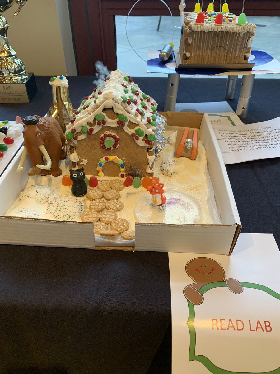 @RRead_Lab gingerbread house with a working chimney and agar plate skating rink 😍 @PharmChemBio holiday party!!