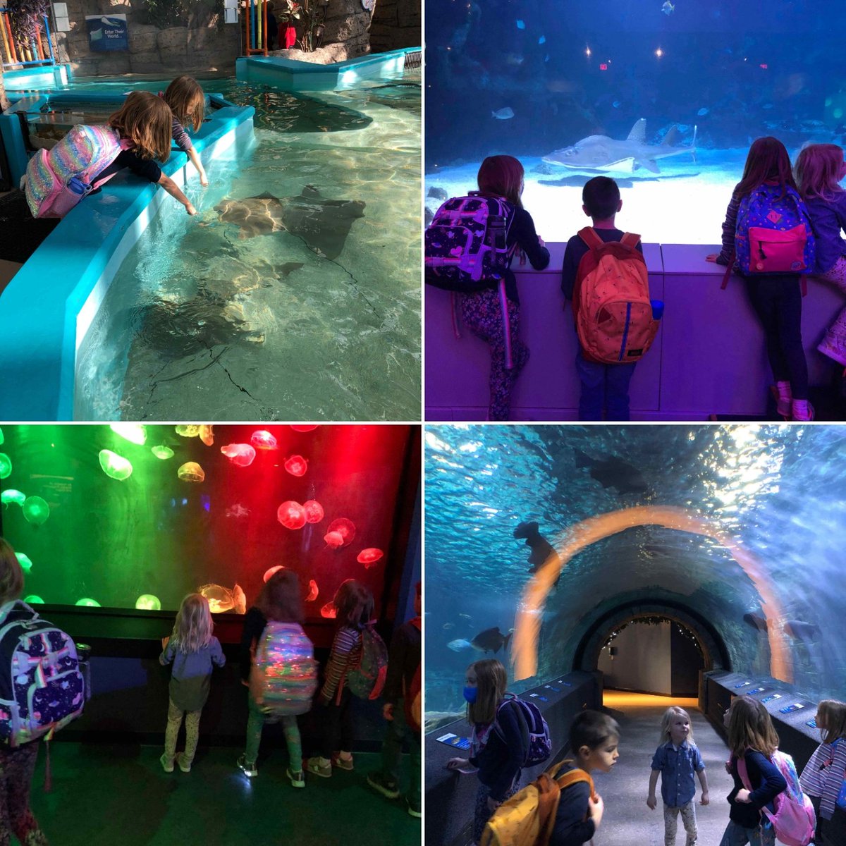 meridian_micro's tweet photo. We closed the fall semester with a field trip to Cincy Region favorite @NewportAquarium. See you in the New Year!
#fieldtripfriday #schoolbeyondstandards #microschoollife https://t.co/VLpElQ2o6P