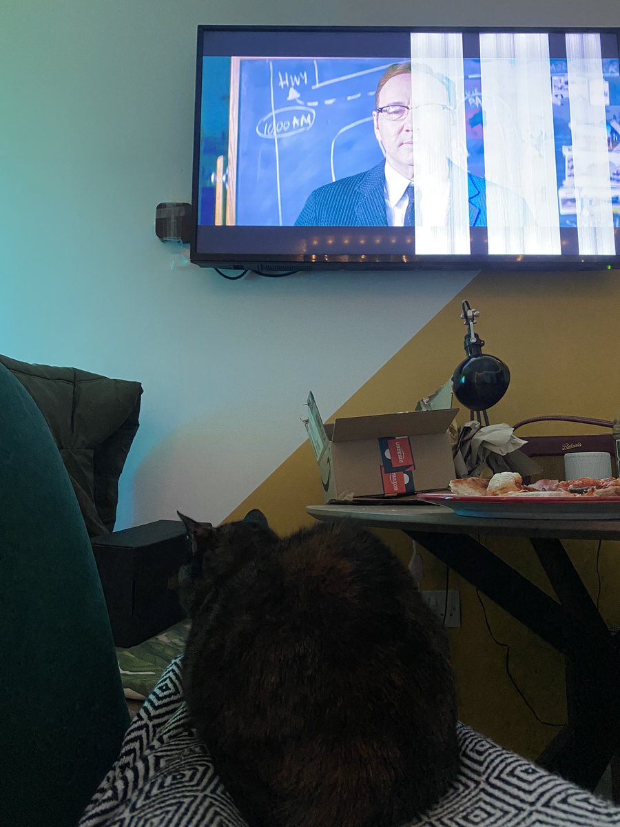 Who knew cats loved baby driver.