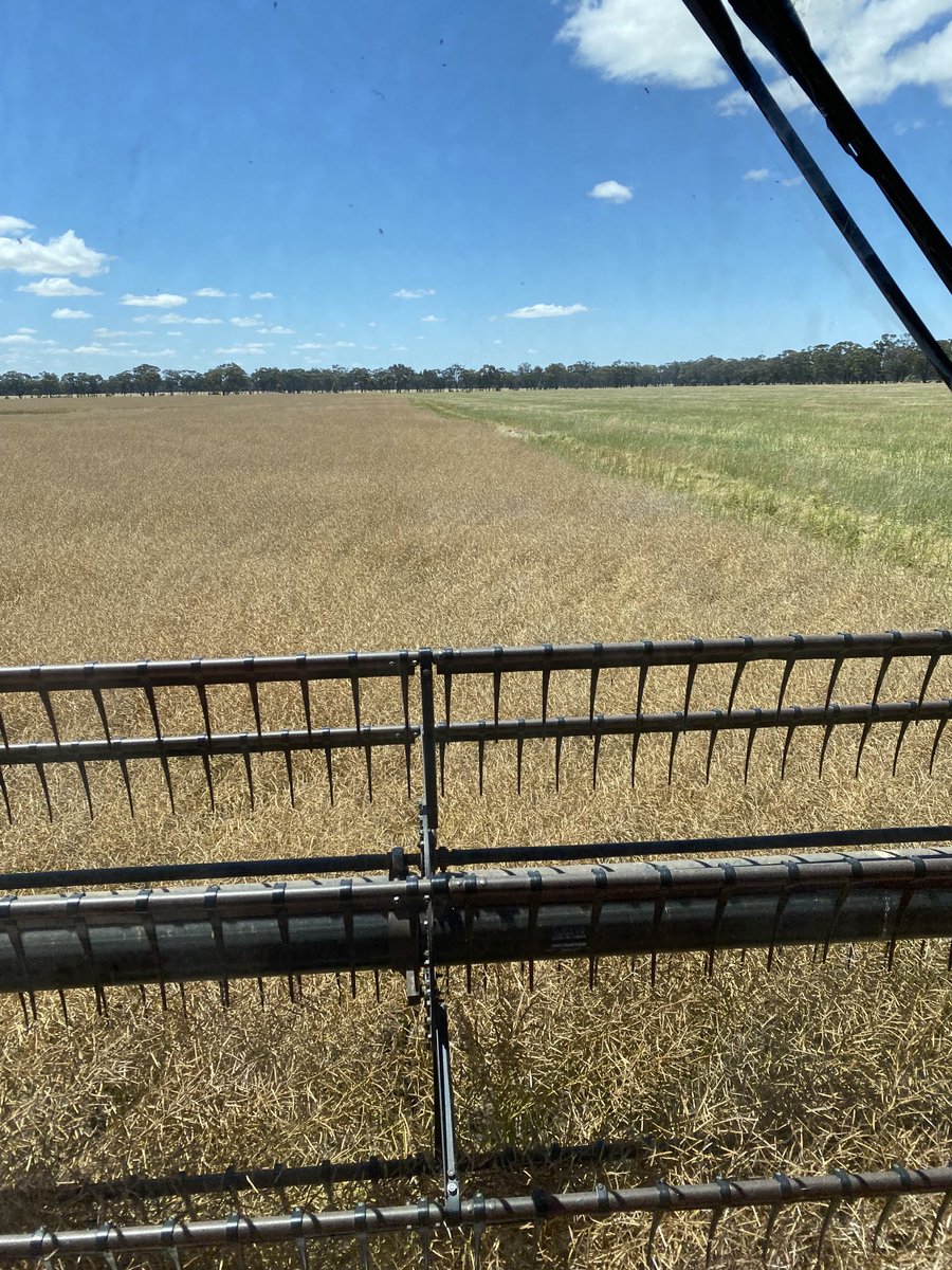 Surprisingly quicker than the windrows 3t/ha  2.5 mph