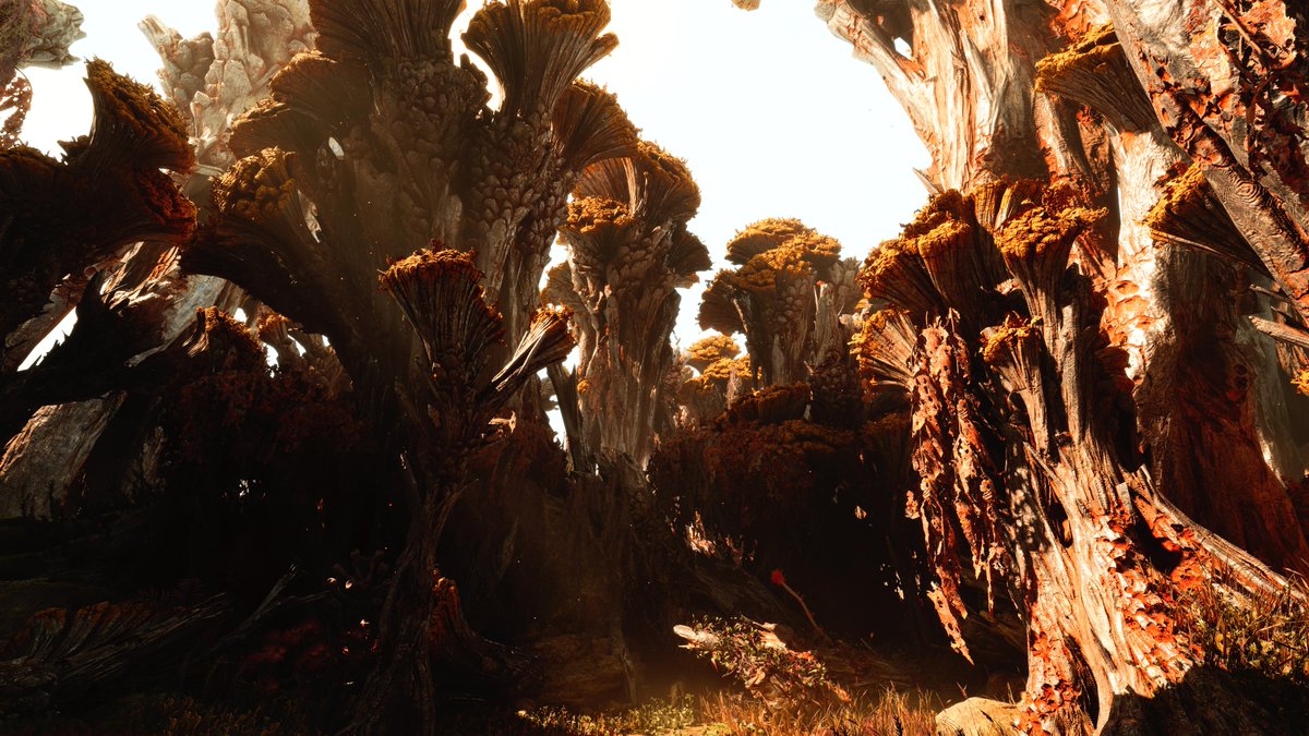 SamTheEgg69's tweet photo. #PS5Share, #GodofWarRagnarök https://t.co/Wvay8l8k5A