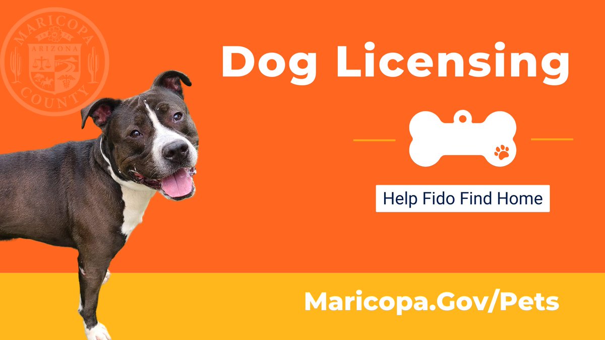Do You Have To License Your Dog In Maricopa County