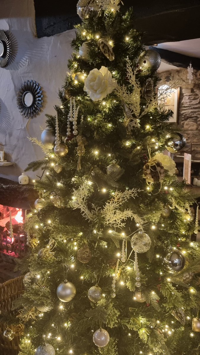 SunInnCrook's tweet photo. #pickytree https://t.co/Xr1krsS1td