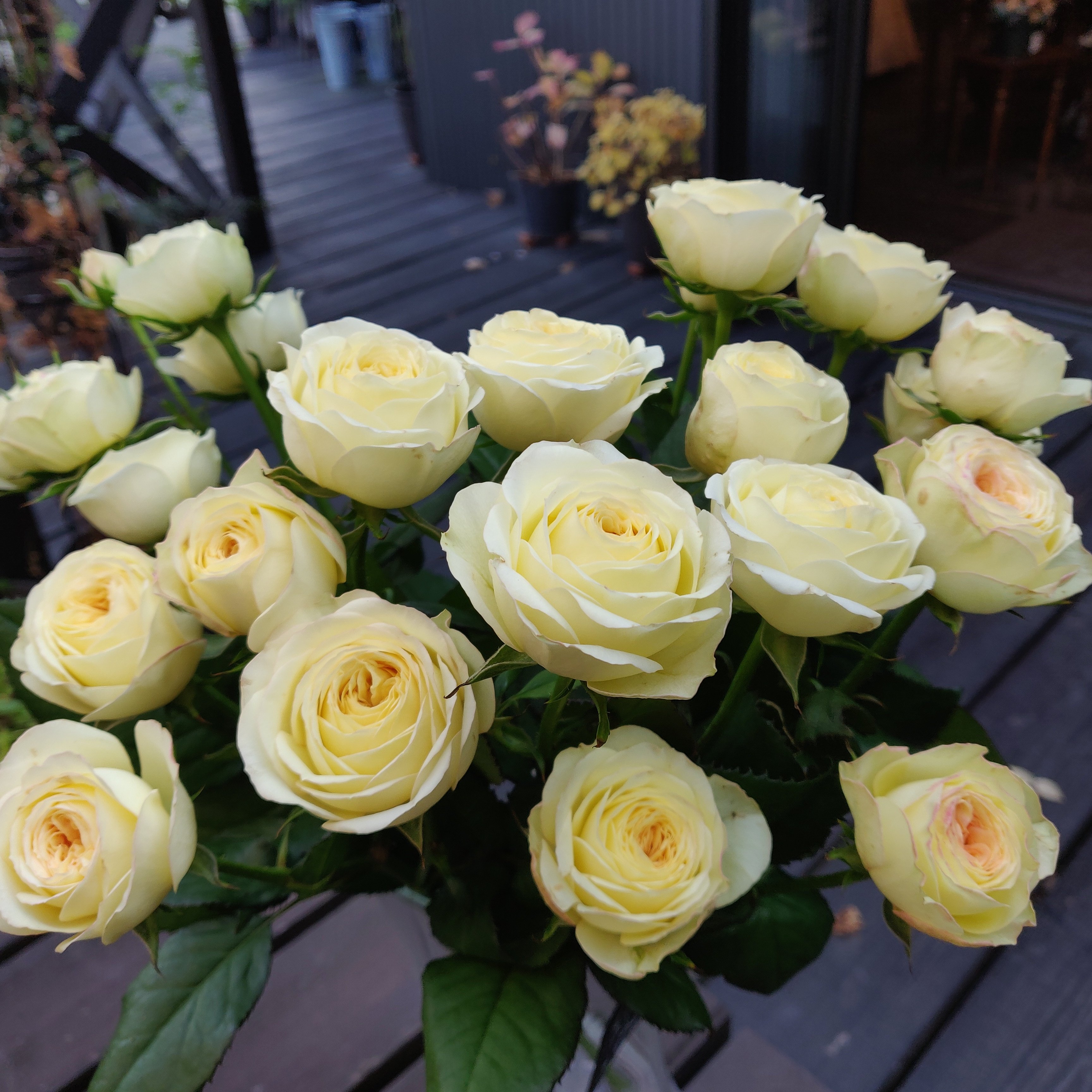 Forest De Florist Forestdeflorist Twitter