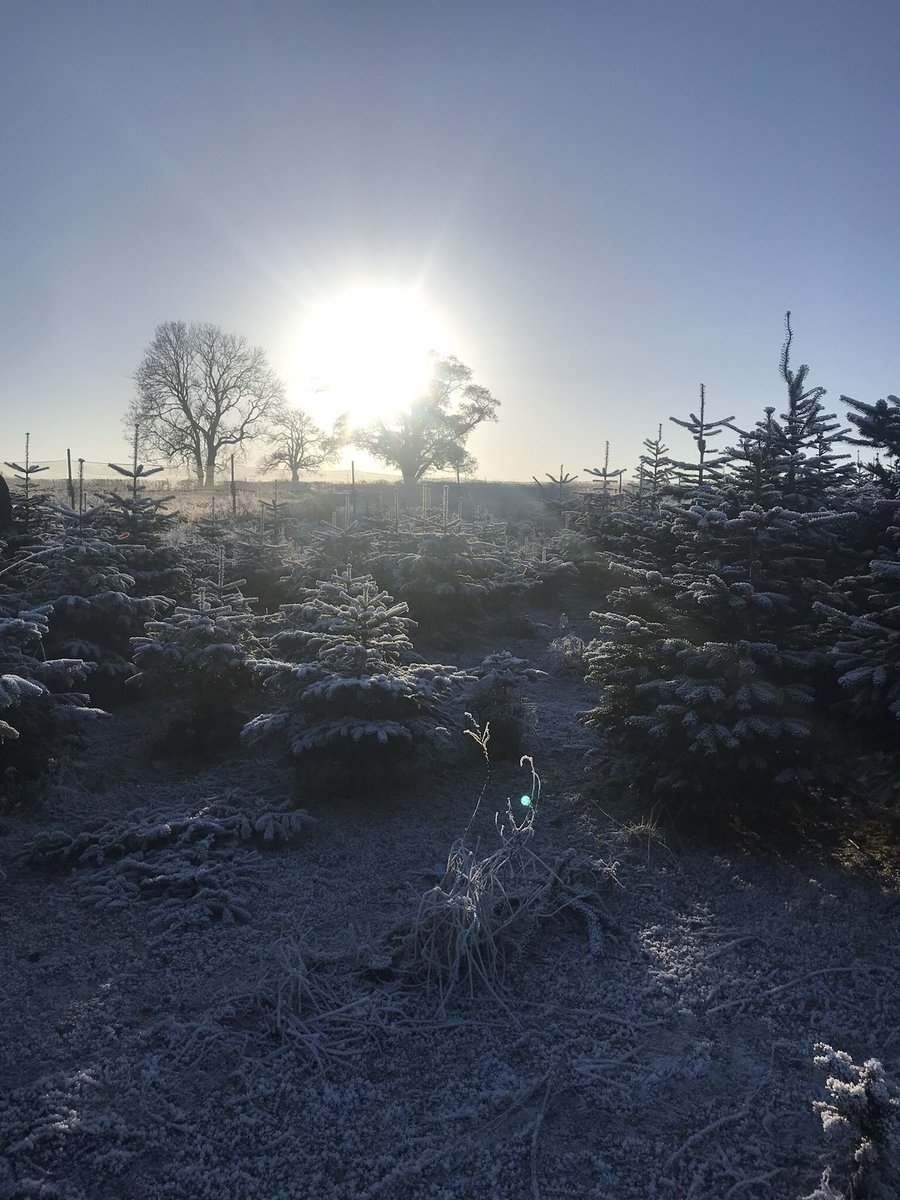 colliedog2020's tweet photo. @TheLastLeg #IsItOk that Cumbria has had no snow and -12° temperatures whilst the rest of England has had snow and above freezing temperatures? 😂 https://t.co/Bwsj39ZYd2