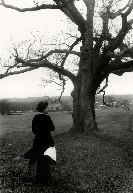 ‘I can listen no longer in silence.’

Jane Austen, Persuation, 1817

Daniël Murtagh