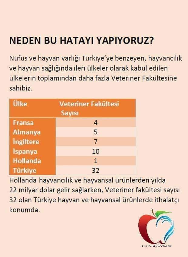 <a href="/ProfArslan/">Prof.Dr.Murat Arslan</a>