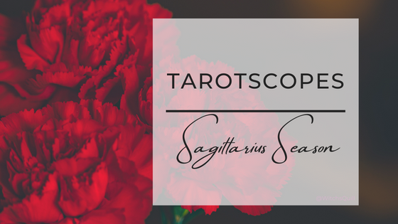 Sagittarius szn tarotscopes 

witchsquill.com/post/sagittari…