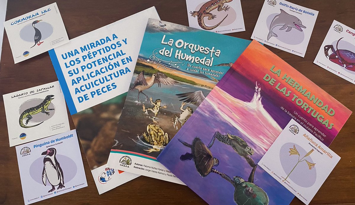valvillalobosl's tweet photo. V Workshop de péptidos: Péptidos Terapéuticos, hermosos libros de regalo por mención honrosa de póster 😄😄 ciencia interdisciplinaria en el Instituto de Ciencia Químicas Aplicadas de la @autonomadechile https://t.co/FNpOocetYO