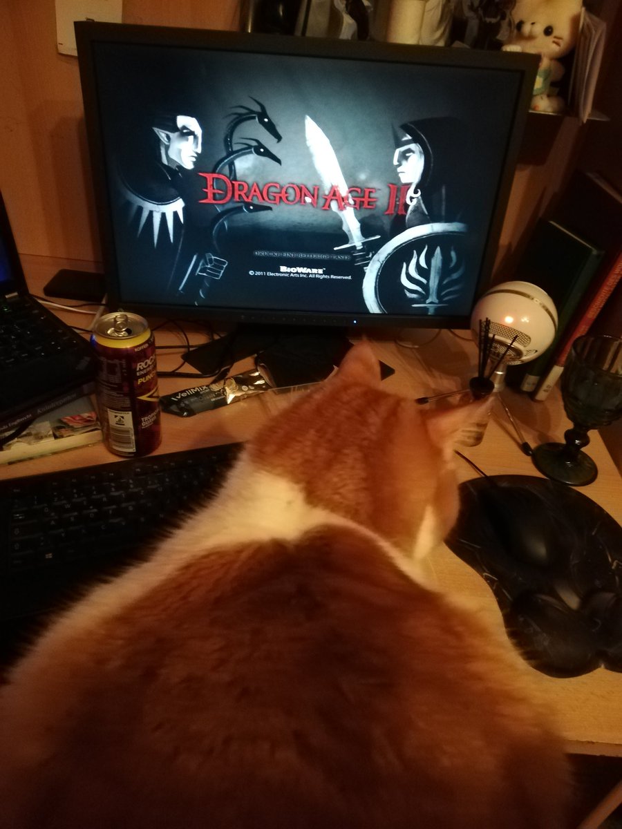 Kimi_Cosplay's tweet photo. My gaming Pov tonight 😂❤️
#DragonAge #gaming #cat https://t.co/2Z8lSyP61M