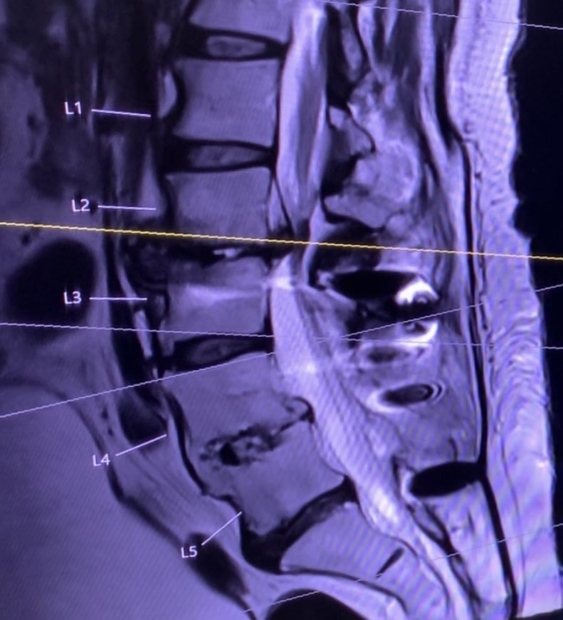 Matthew Gary tweet media