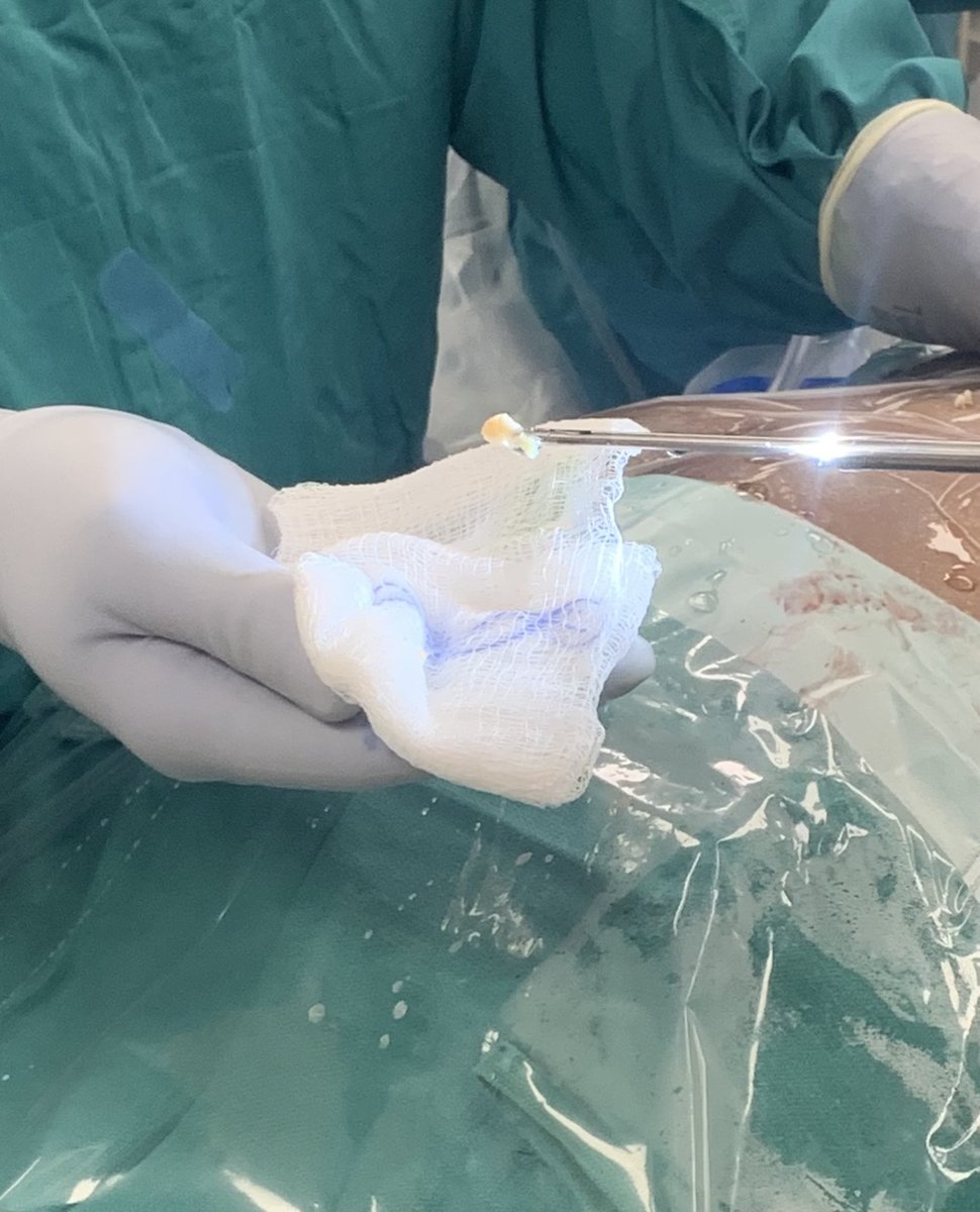 Matthew Gary tweet media