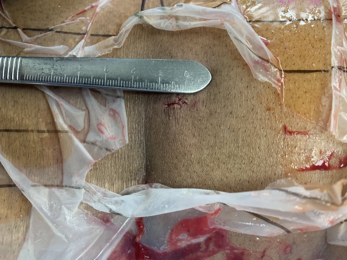 Matthew Gary tweet media