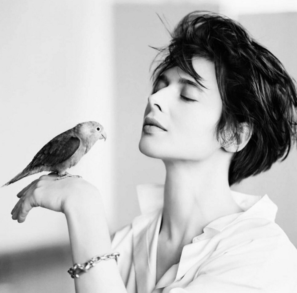 sergioandreola's tweet photo. Isabella Rossellini, Bird, New York, 1988.
_______________

ph.© Matthew Rolston https://t.co/y3RkDgWVEk