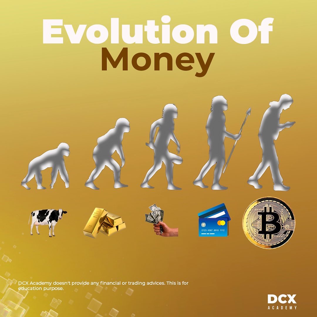 dcxacademy tweet media