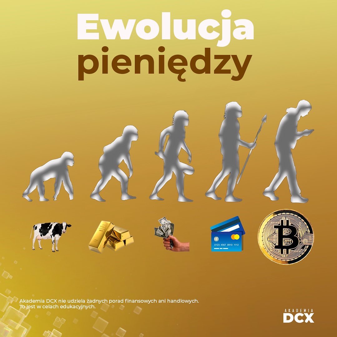 dcxacademy tweet media