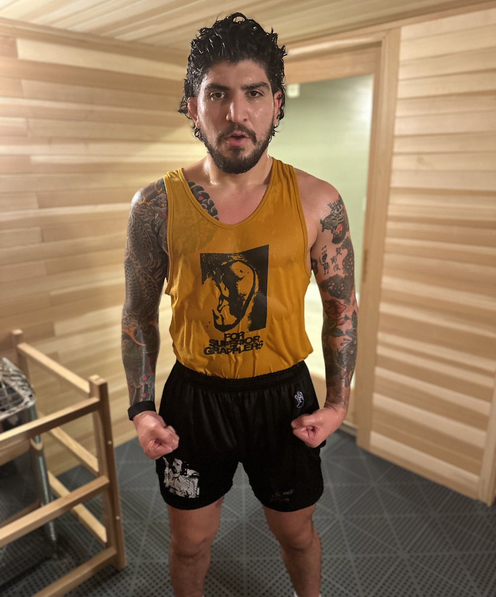 Dillon Danis tweet media