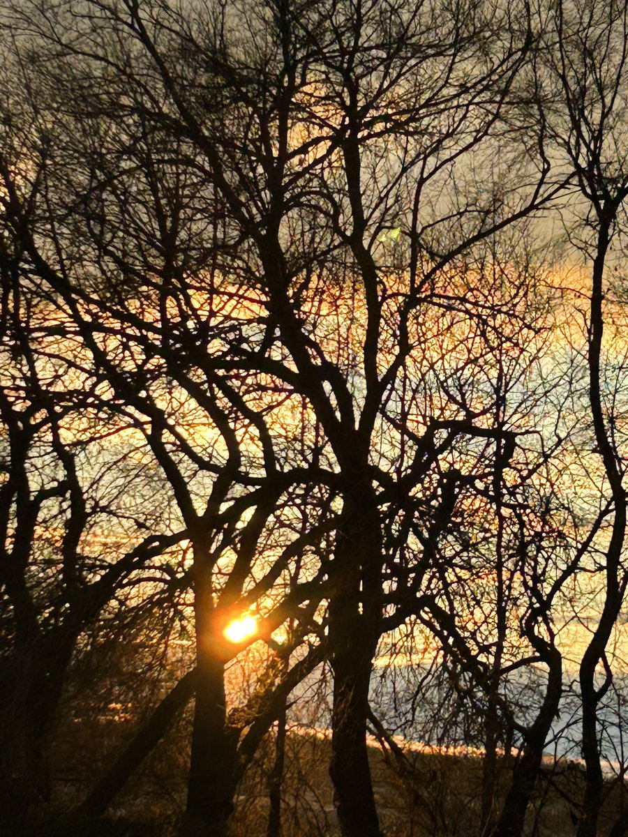 giddywithglee's tweet image. Ugh 😑 don’t come around here much. But had to share this lovely #sunset tonight in #Carlisle #PA. Oddly not a single 18 wheeler was in sight.  #PAwx #ข่าวลือ #logistique #logistics #trucks 

@Owens_abc27 @abc27News @BrettThackABC27 @GreggABC27 @DopplerDan
