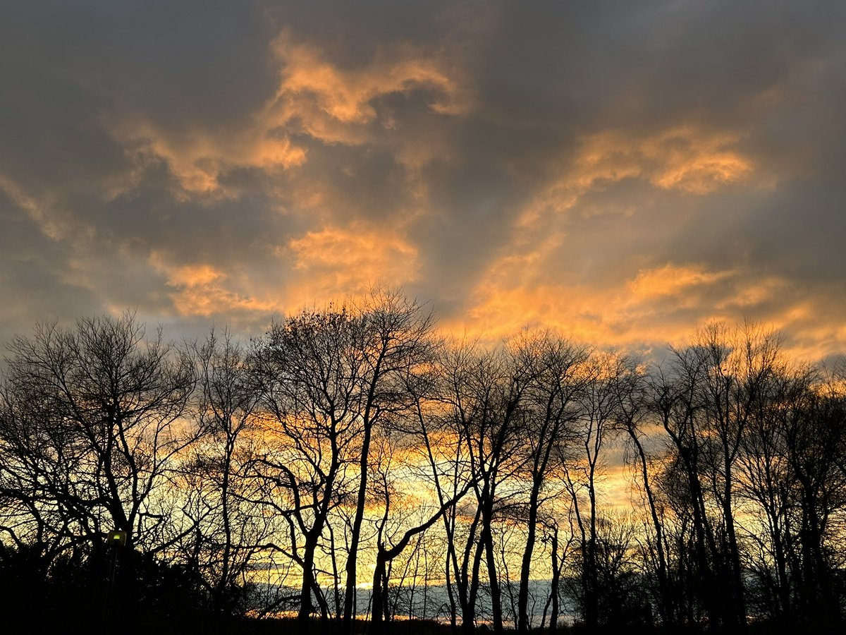 giddywithglee's tweet image. Ugh 😑 don’t come around here much. But had to share this lovely #sunset tonight in #Carlisle #PA. Oddly not a single 18 wheeler was in sight.  #PAwx #ข่าวลือ #logistique #logistics #trucks 

@Owens_abc27 @abc27News @BrettThackABC27 @GreggABC27 @DopplerDan