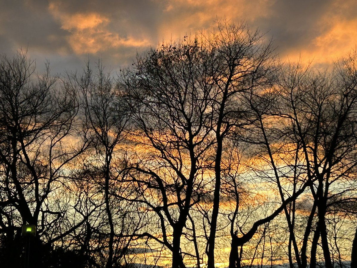 giddywithglee's tweet image. Ugh 😑 don’t come around here much. But had to share this lovely #sunset tonight in #Carlisle #PA. Oddly not a single 18 wheeler was in sight.  #PAwx #ข่าวลือ #logistique #logistics #trucks 

@Owens_abc27 @abc27News @BrettThackABC27 @GreggABC27 @DopplerDan