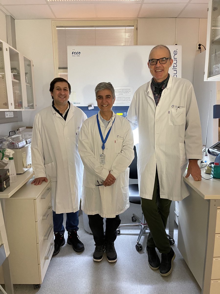 pkselbo's tweet photo. One week research visit in our lab at Institute of Cancer Research, Oslo University Hospital is over. This will be an exciting collaboration between photochemists and photobiologists. @MAmparoFaustino #EEAgrant https://t.co/07PhM2YPMn